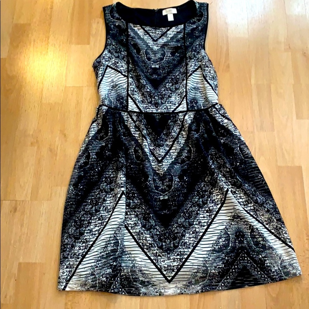 Ann Taylor LOFT Black and White Dress